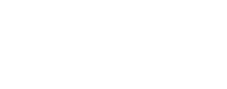 Skyworth